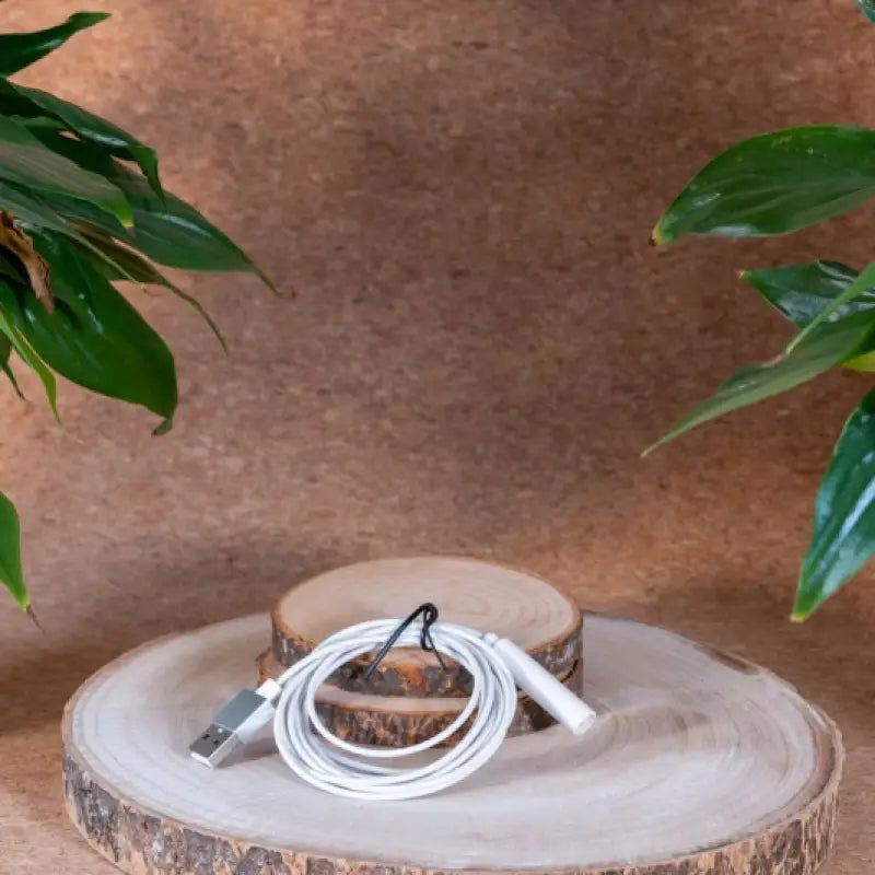 Cable usb de mise à la terre 2,00m par inalterra.fr