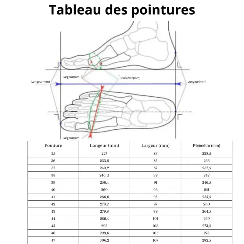 Chaussures barefoot de earthing grounding mise à la terre inalterra par inalterra.fr