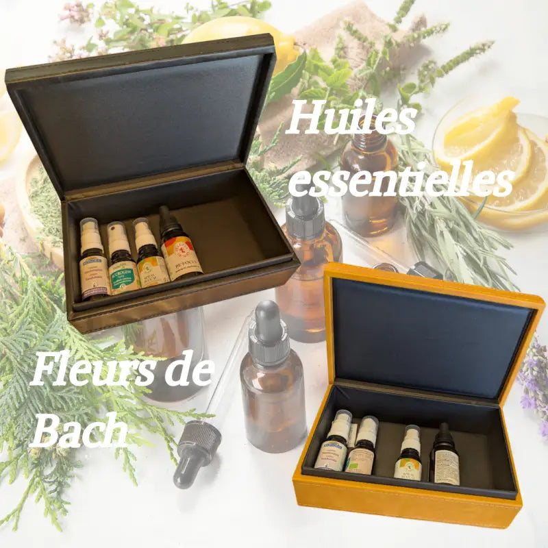 Coffre anti-ondes – protection électromagnétique polyvalente par inalterra.fr