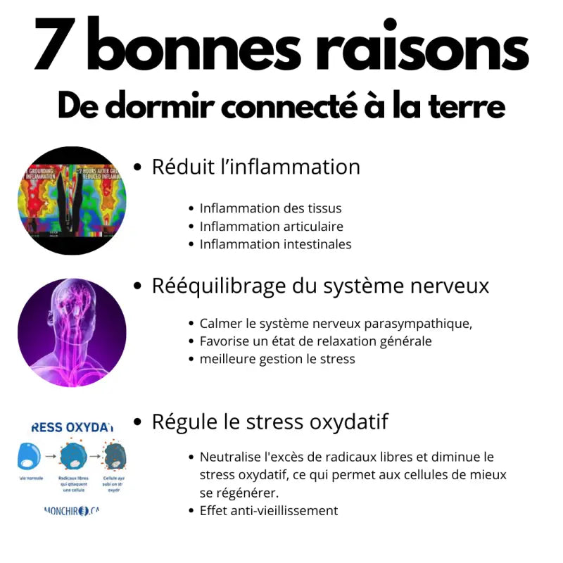 La taie d’oreiller coton de mise à la terre par inalterra.fr