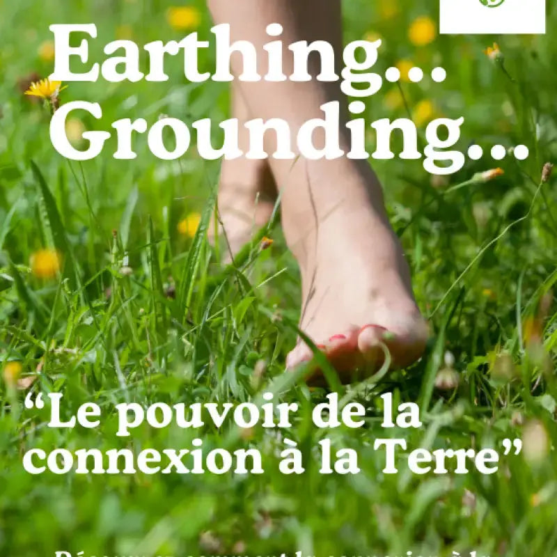 Offert! Pdf gratuit à partager comprendre le earthing par inalterra.fr