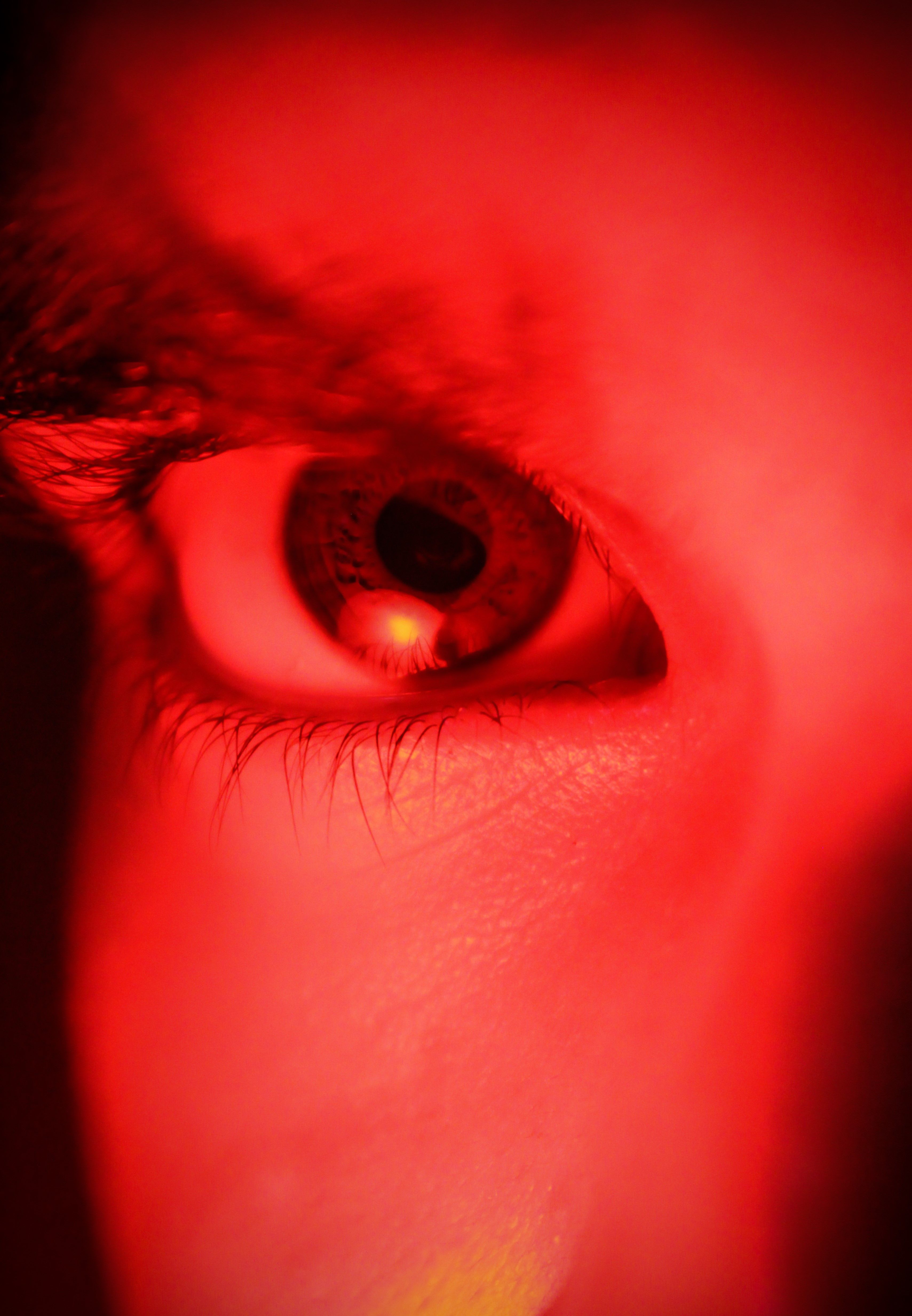 Lumière rouge et sommeil : pourquoi elle protège mieux la mélatonine que la lumière ambre
