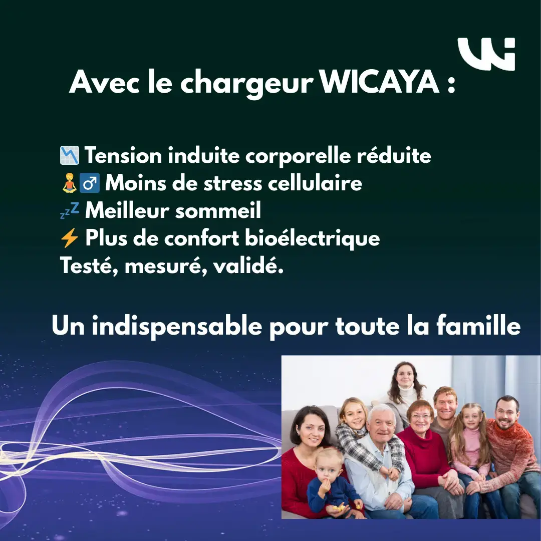 Chargeur WICAYA 65W avec mise à la Terre intégrée USB et USB-C anti-ondes.fr