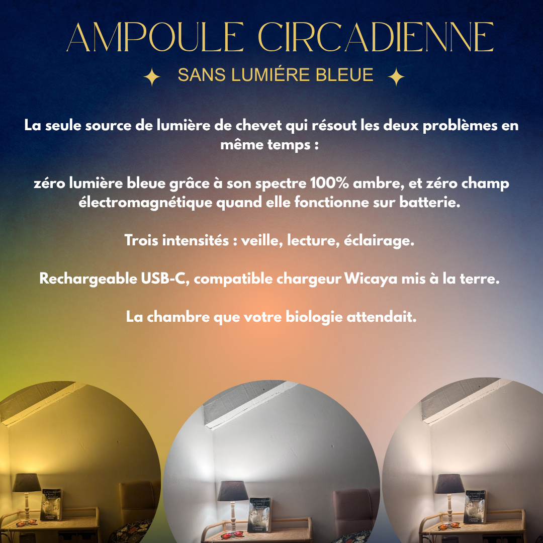 Lampe de chevet circadienne sans lumière bleue usb-c