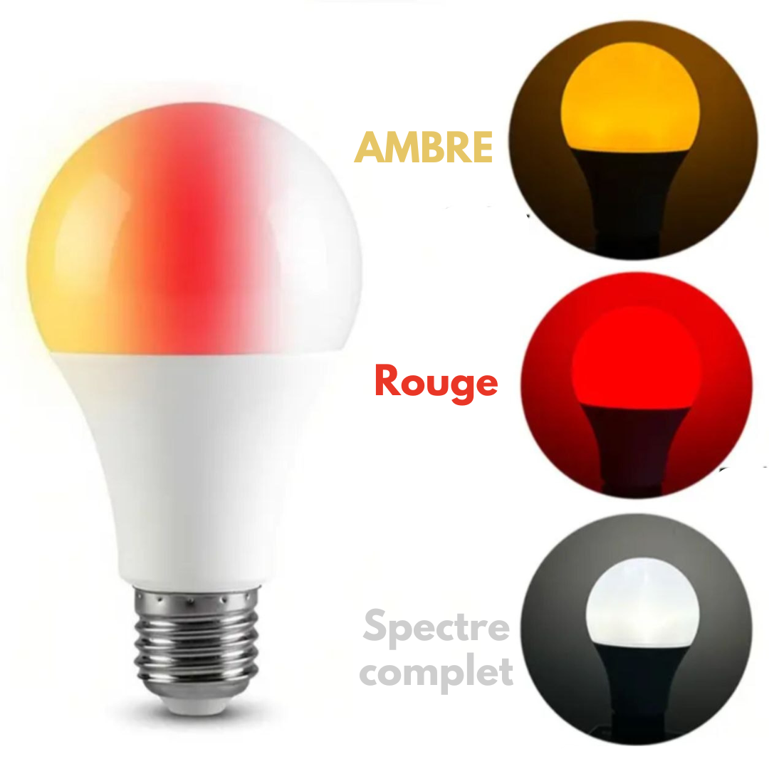 ampoule anti lumiere bleue circadienne